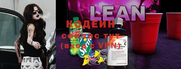 хмурый Касимов