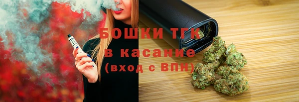 хмурый Касимов