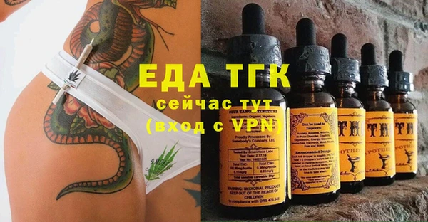 хмурый Касимов