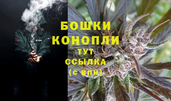 стаф Карталы