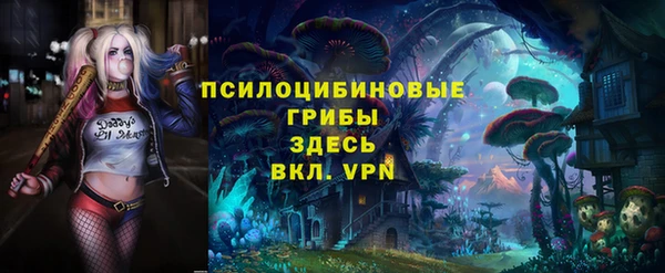 хмурый Касимов