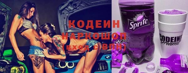 хмурый Касимов