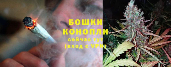 стаф Карталы