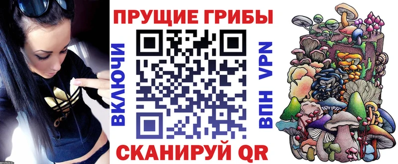 Купить закладки  Вуктыл  Галлюциногенные грибы Psilocybine cubensis 